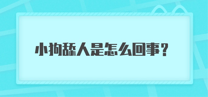 小狗舔人是怎么回事？