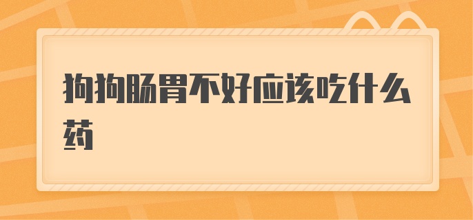 狗狗肠胃不好应该吃什么药