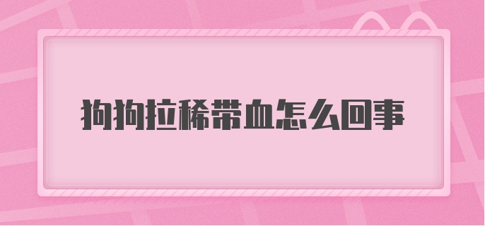 狗狗拉稀带血怎么回事