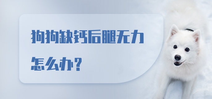 狗狗缺钙后腿无力怎么办?