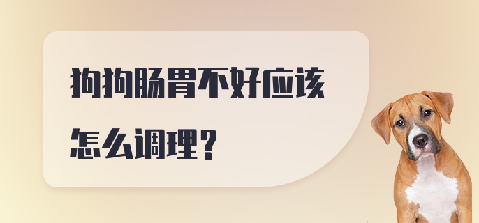 狗狗肠胃不好应该怎么调理？