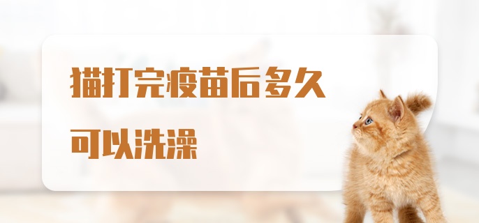 猫打完疫苗后多久可以洗澡