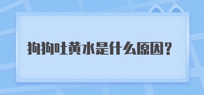 狗狗吐黄水是什么原因?