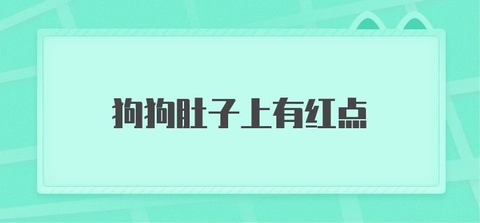 狗狗肚子上有红点