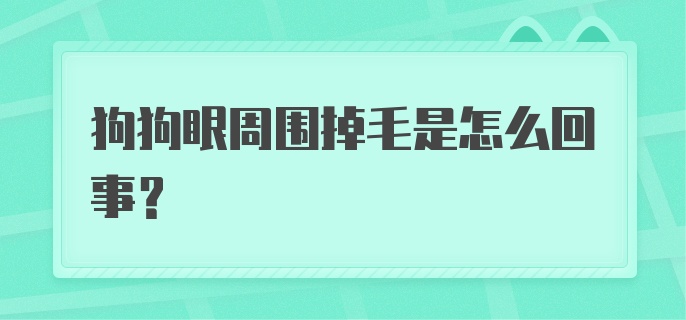 狗狗眼周围掉毛是怎么回事？