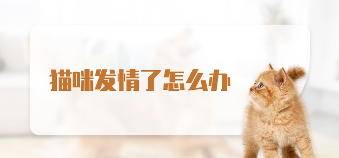 猫咪发情了怎么办