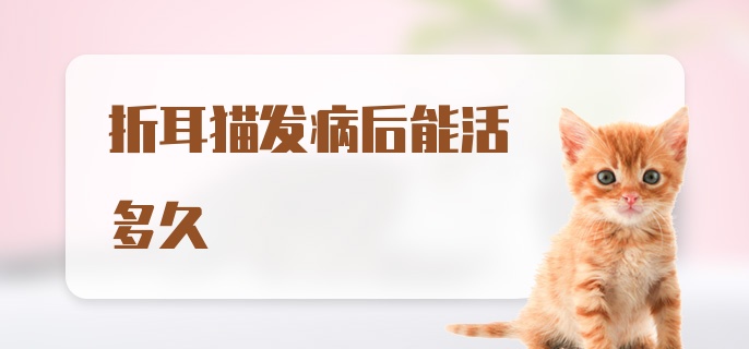 折耳猫发病后能活多久