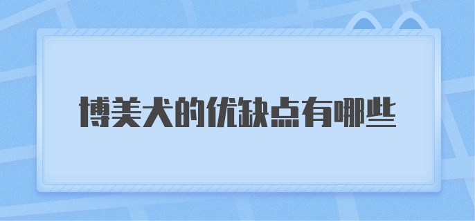 博美犬的优缺点有哪些