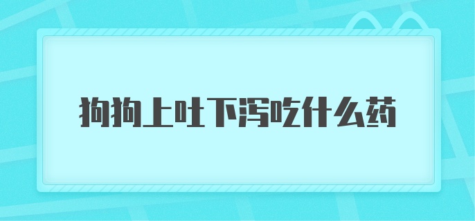 狗狗上吐下泻吃什么药