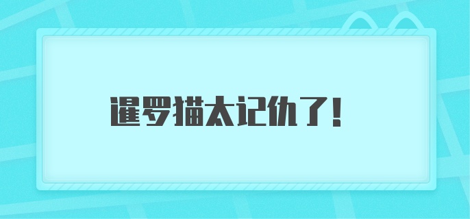 暹罗猫太记仇了！