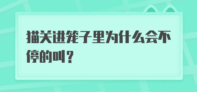 猫关进笼子里为什么会不停的叫？