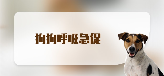 狗狗呼吸急促