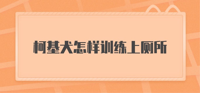 柯基犬怎样训练上厕所