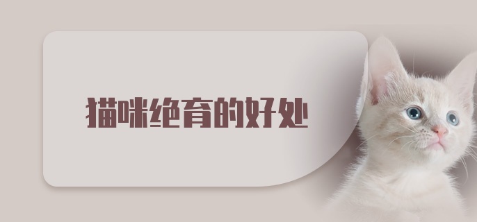 猫咪绝育的好处