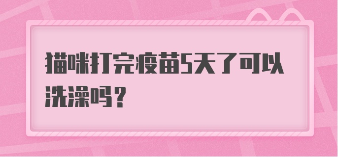 猫咪打完疫苗5天了可以洗澡吗？