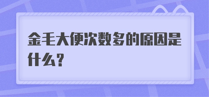 金毛大便次数多的原因是什么？