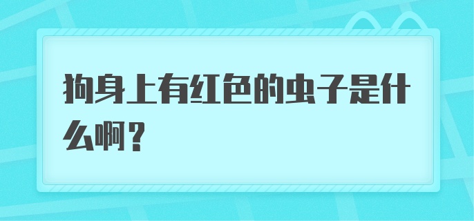 狗身上有红色的虫子是什么啊?