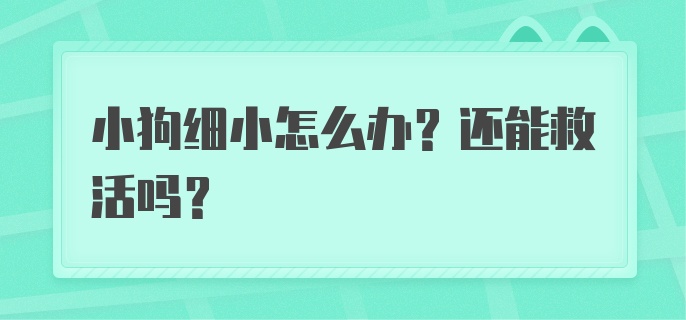 小狗细小怎么办？还能救活吗？