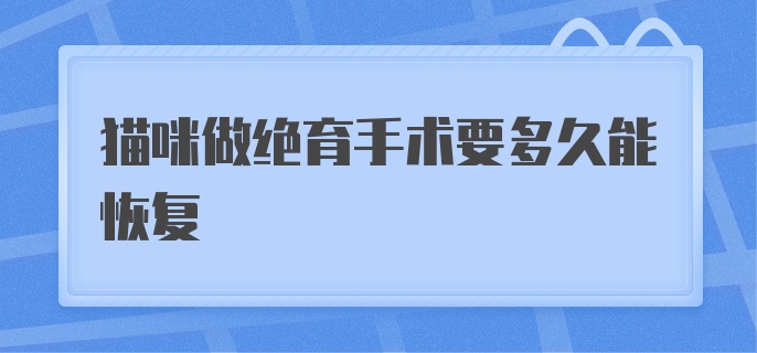 猫咪做绝育手术要多久能恢复