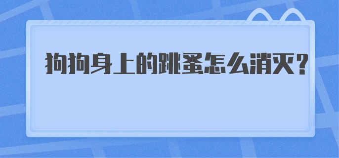 狗狗身上的跳蚤怎么消灭？