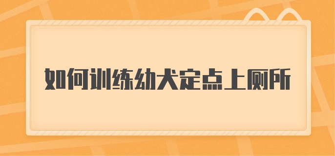 如何训练幼犬定点上厕所