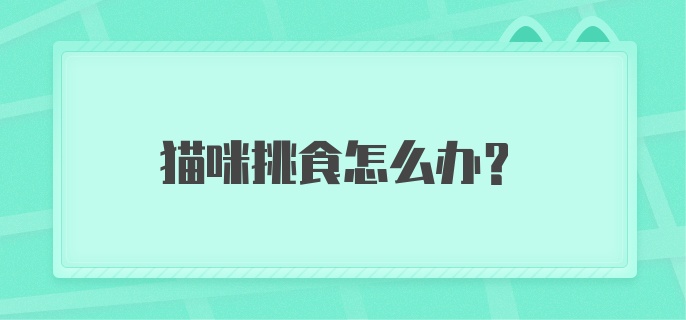 猫咪挑食怎么办？