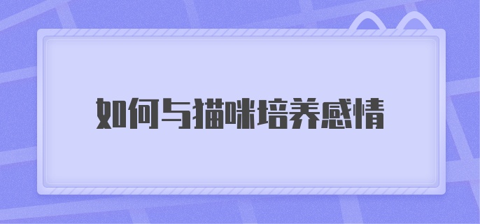 如何与猫咪培养感情