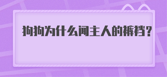 狗狗为什么闻主人的裤裆？