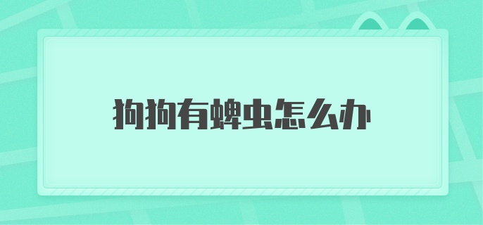 狗狗有蜱虫怎么办？