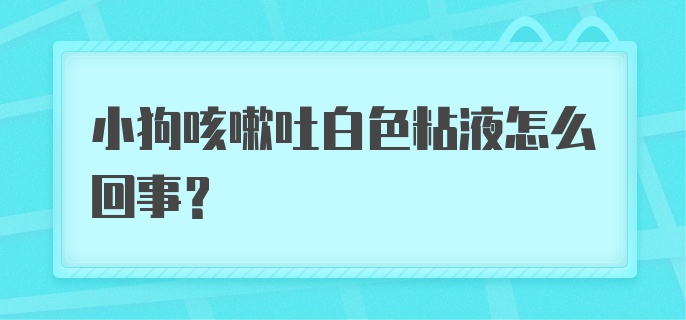 小狗咳嗽吐白色粘液怎么回事？