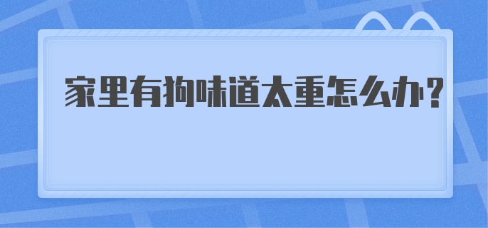 家里有狗味道太重怎么办?