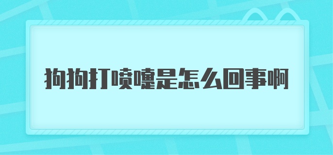 狗狗打喷嚏是怎么回事啊