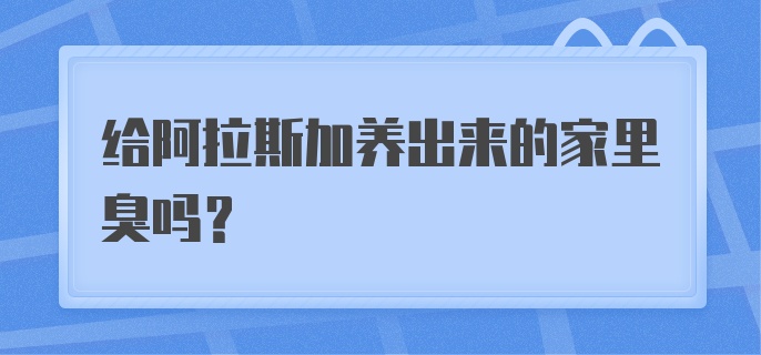 给阿拉斯加养出来的家里臭吗？