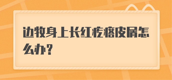 边牧身上长红疙瘩皮屑怎么办？