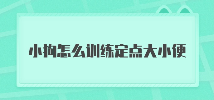 小狗怎么训练定点大小便