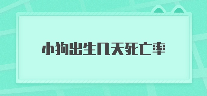 小狗出生几天死亡率