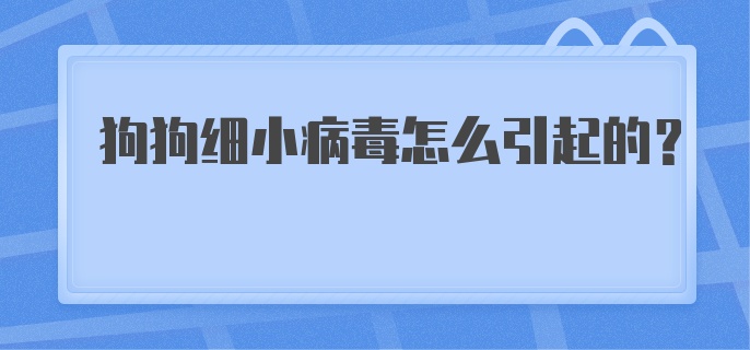 狗狗细小病毒怎么引起的？