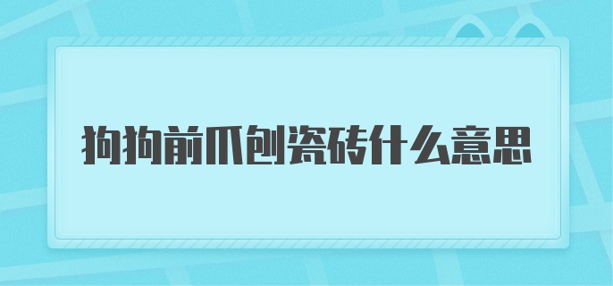 狗狗前爪刨瓷砖什么意思