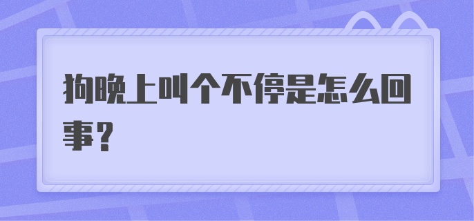 狗晚上叫个不停是怎么回事？