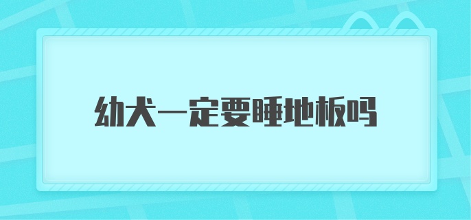 幼犬一定要睡地板吗