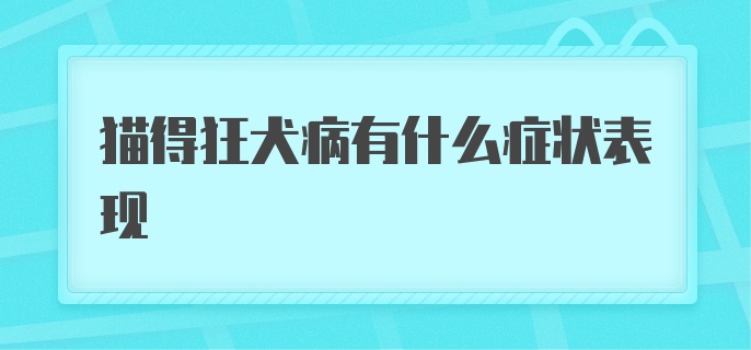 猫得狂犬病有什么症状表现