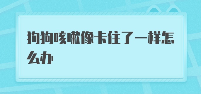 狗狗咳嗽像卡住了一样怎么办