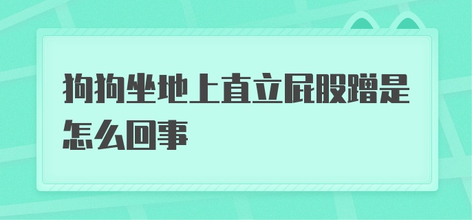 狗狗坐地上直立屁股蹭是怎么回事