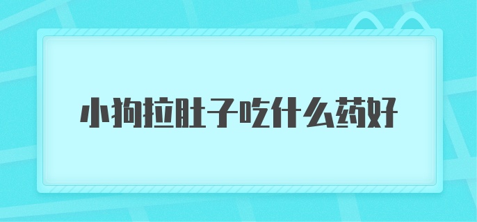 小狗拉肚子吃什么药好