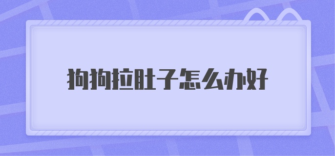 狗狗拉肚子怎么办好