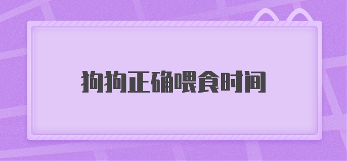 狗狗正确喂食时间