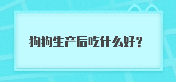 狗狗生产后吃什么好？