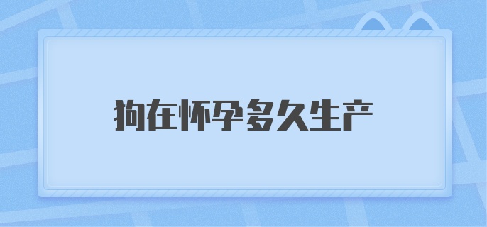 狗在怀孕多久生产