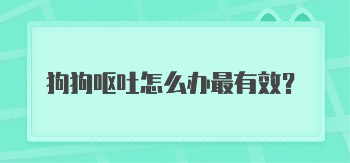 狗狗呕吐怎么办最有效？