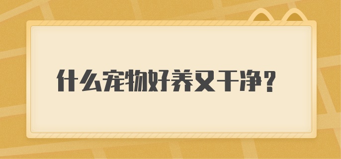 什么宠物好养又干净？